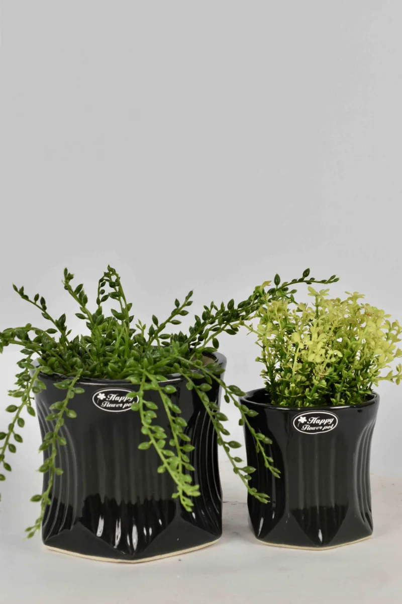 Classic Ceramic Planter — 8" Dia × 9" Height — Primary View