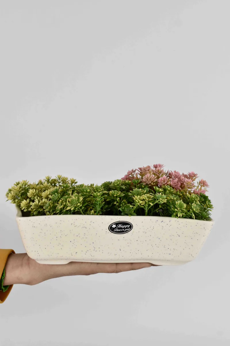 Classic Ceramic Planter Set of 3 (3" Dia) — Primary View