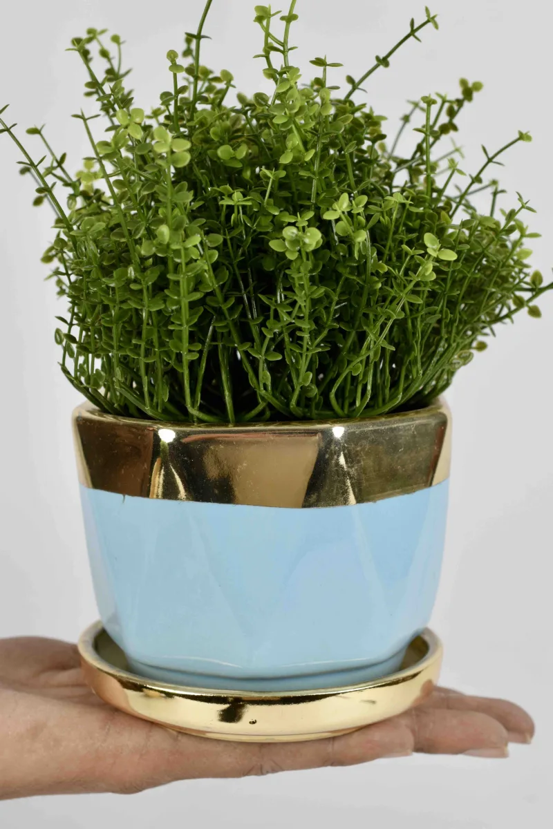 Classic Ceramic Planter — 3.5" Dia × 3.5" Height — Primary View