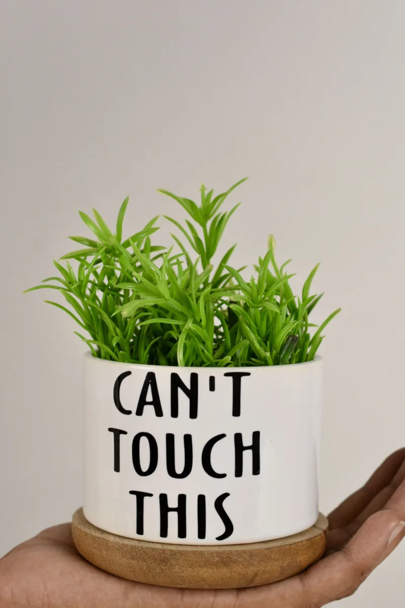 Classic Ceramic Planter — 5.5" Dia × 5.5" Height — Primary View