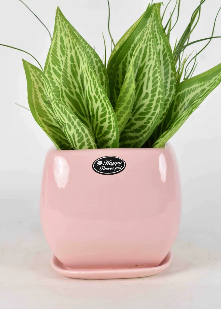 Classic Ceramic Planter — 3" Dia × 3" Height — Primary View