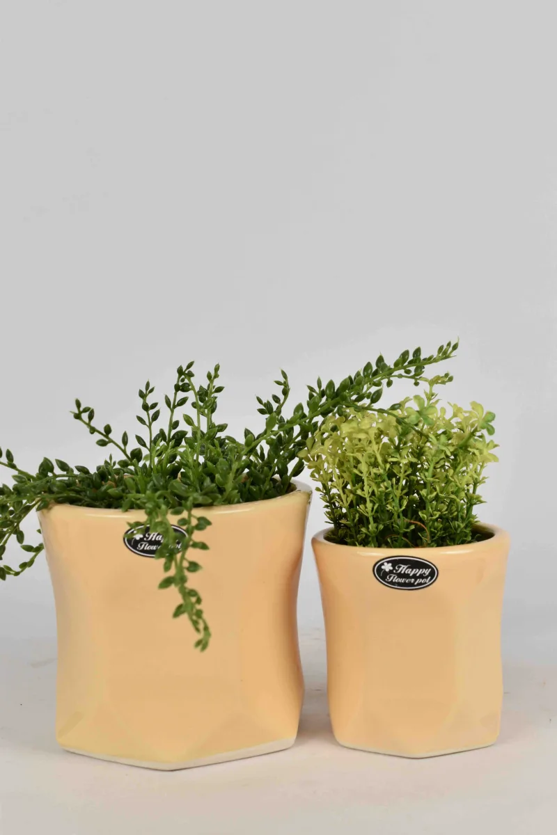 Classic Ceramic Planter — 7" Dia × 2.5" Height — Primary View
