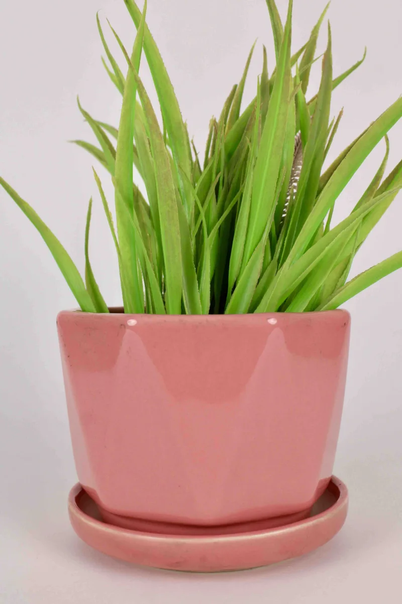 Classic Ceramic Planter — 5" Dia × 4" Height — Primary View