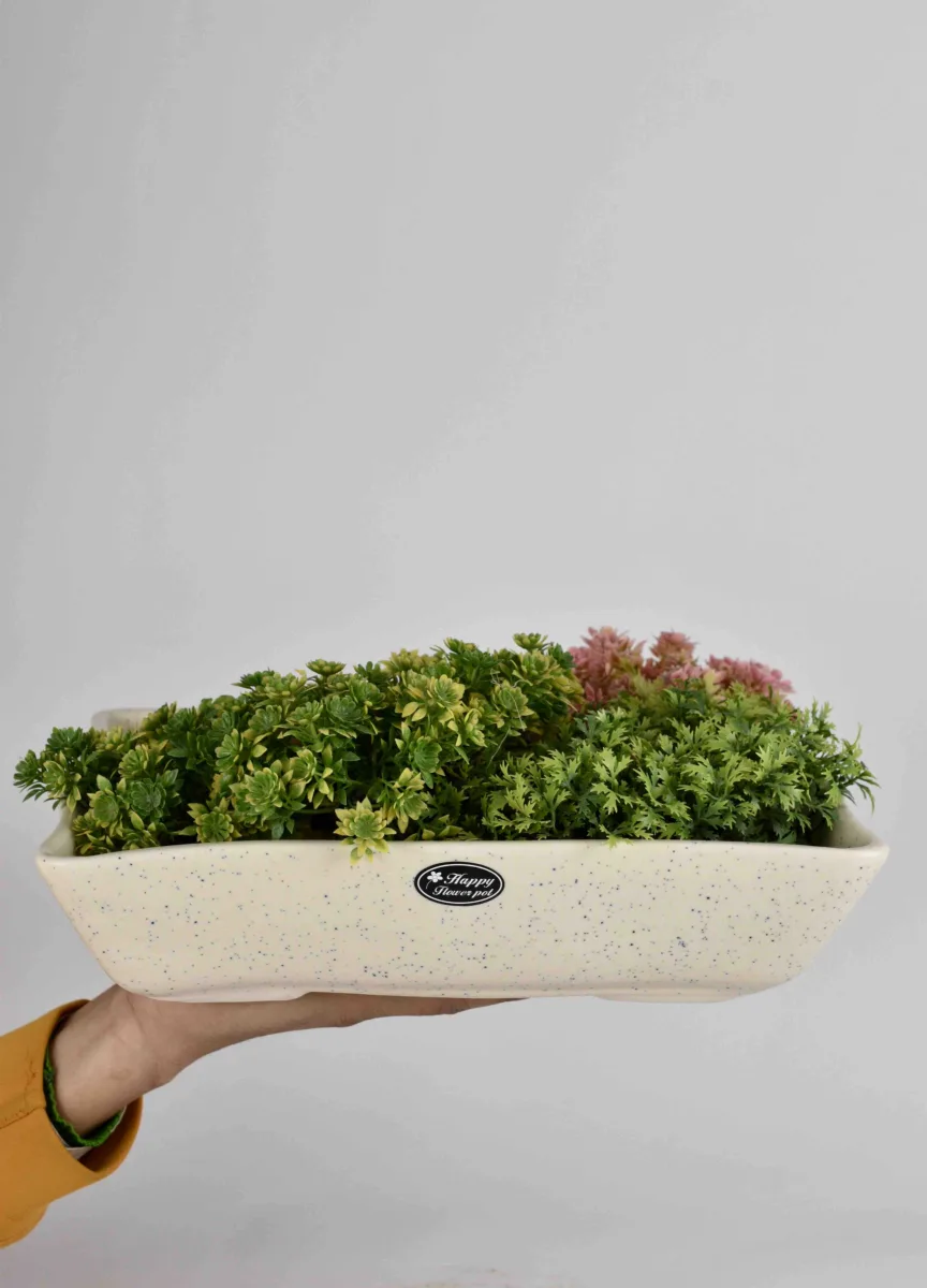 Classic Ceramic Planter — 2.5" Dia × 2" Height — Primary View
