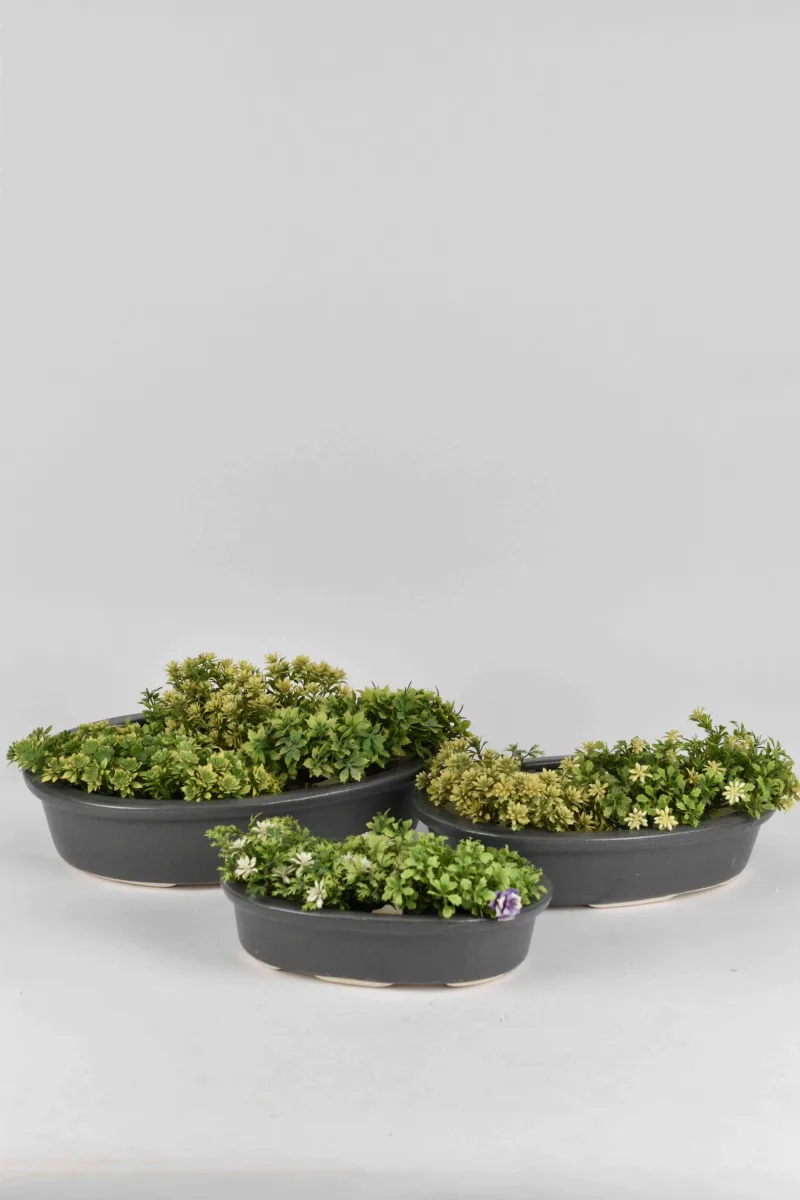 Classic Ceramic Planter — 11" Dia × 10" Height — Primary View