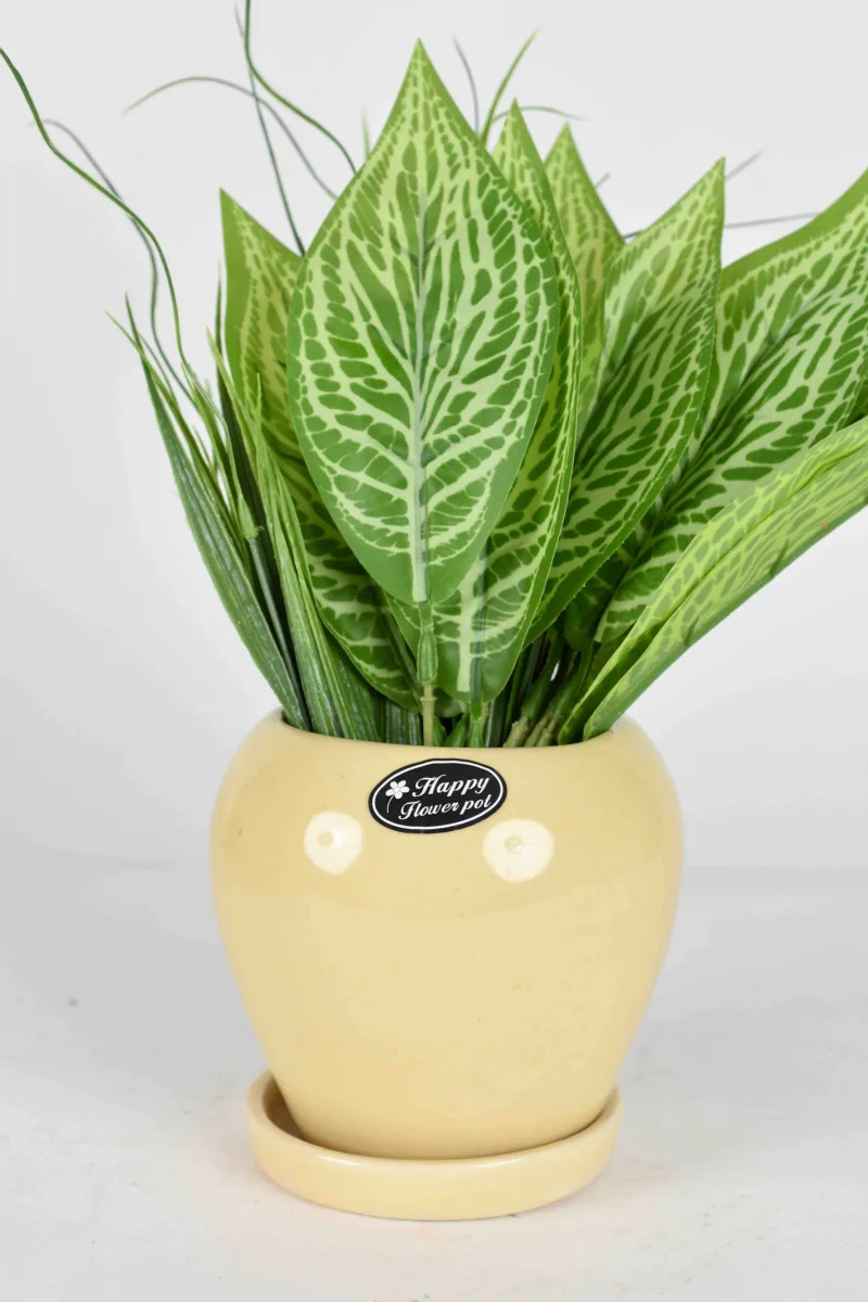 Classic Ceramic Planter — 6.5" Dia × 4.5" Height — Primary View