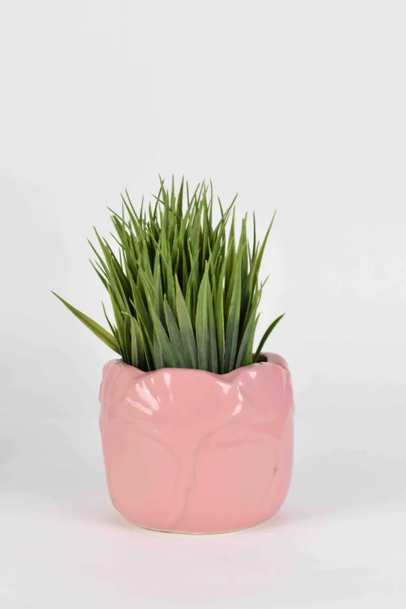 Classic Ceramic Planter — 5" Dia × 4" Height — Primary View