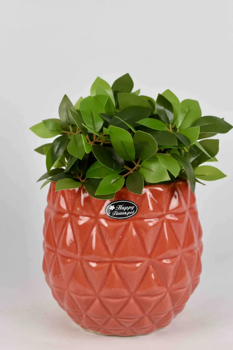 Classic Ceramic Planter — 5.5" Dia × 5.5" Height — Primary View