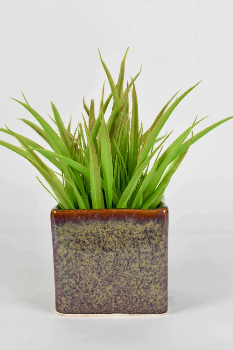 Classic Ceramic Planter — 4" Dia × 4" Height — Primary View