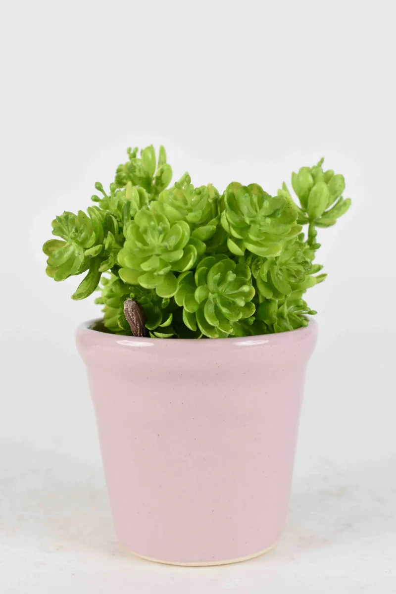 Classic Ceramic Planter — 9" Dia × 13.5" Height — Primary View