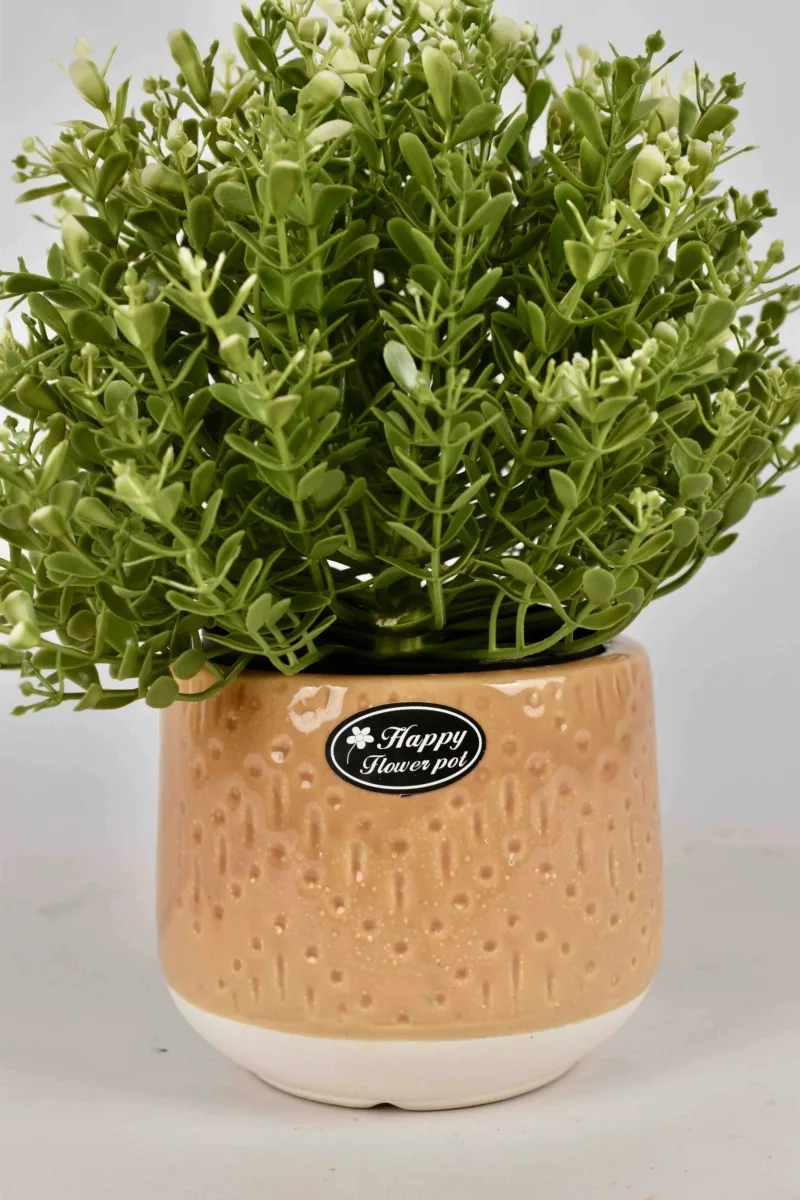 Classic Ceramic Planter — Primary View