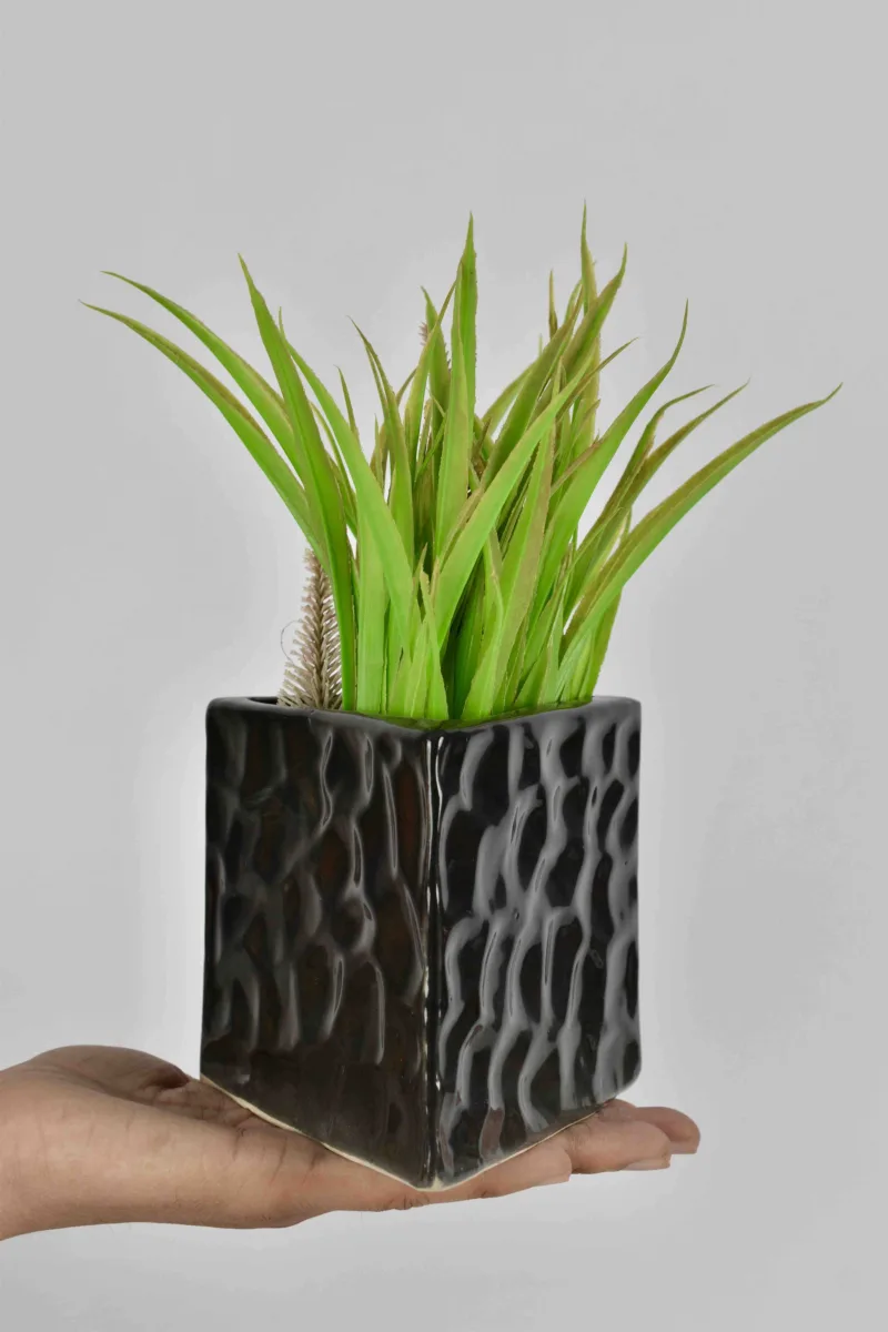 Classic Ceramic Planter — 6" Dia × 5" Height — Primary View