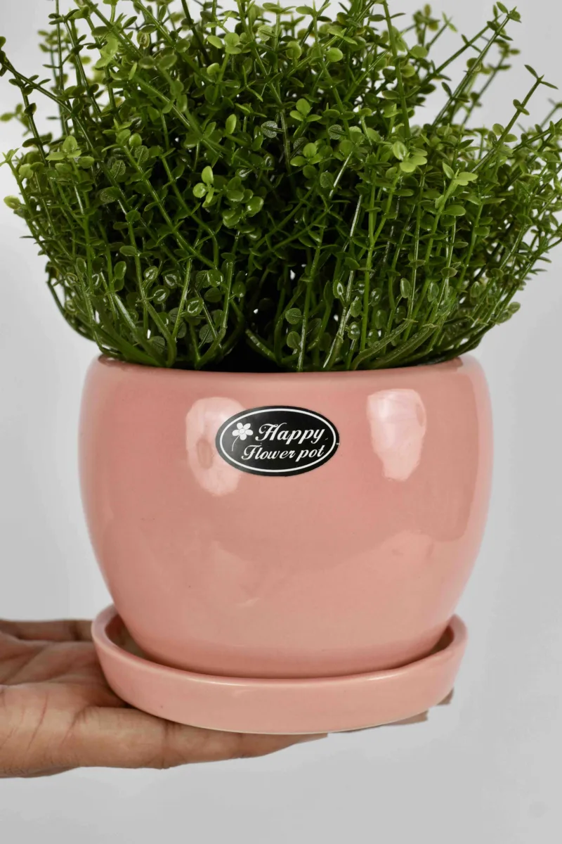 Classic Ceramic Planter Set of 3 (3" Dia) — Primary View