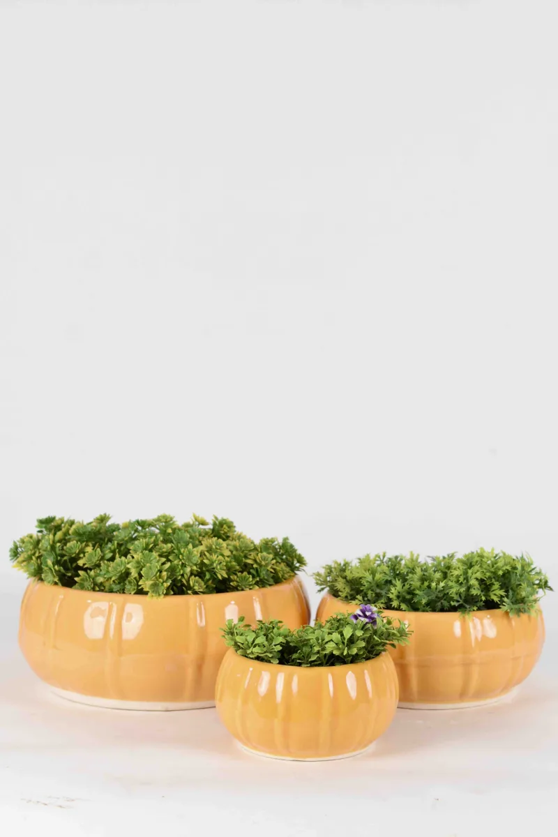 Classic Ceramic Planter — 4" Dia × 3.5" Height — Primary View