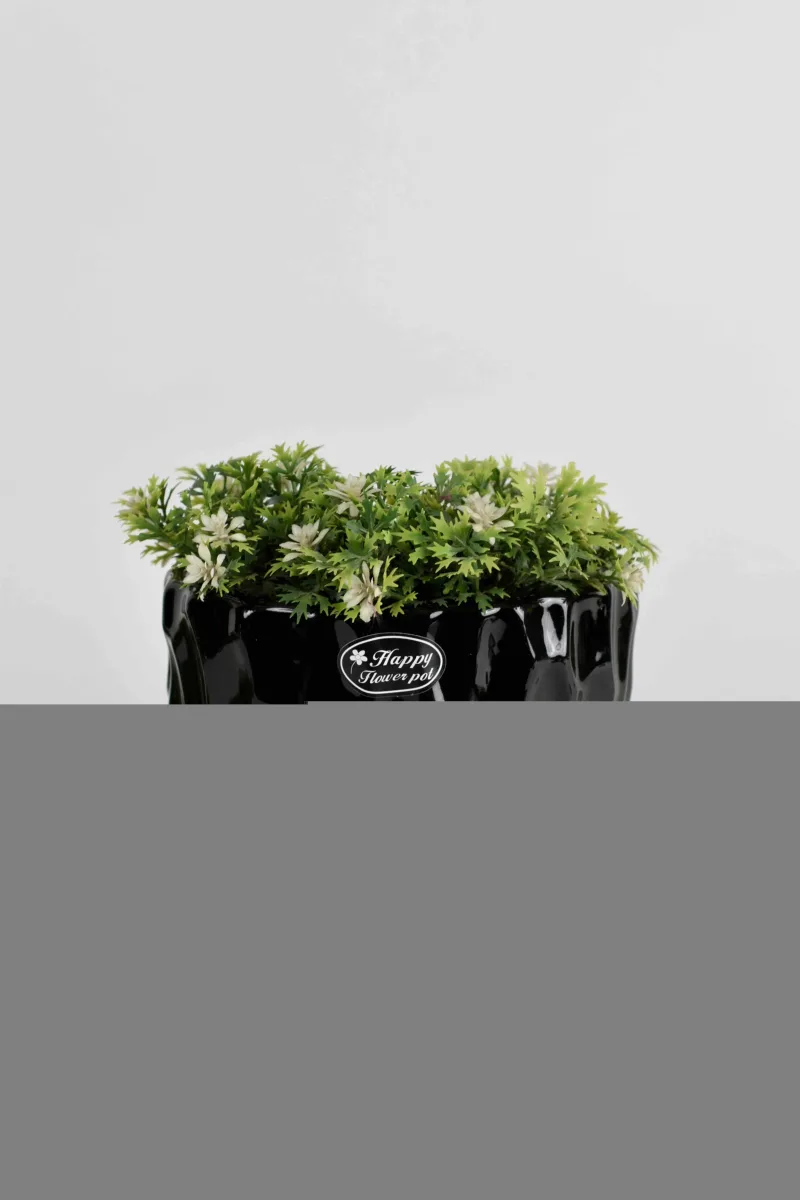 Classic Ceramic Planter — 6" Dia × 5" Height — Primary View