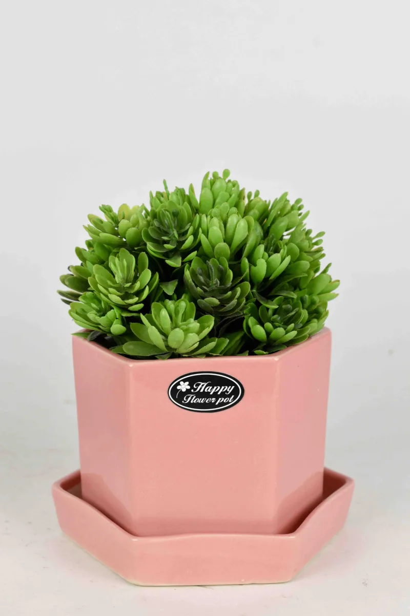 Classic Ceramic Planter — 11" Dia × 3" Height — Primary View