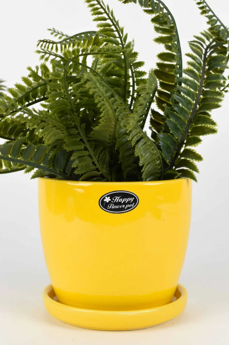 Classic Ceramic Planter — 6" Dia × 5" Height — Primary View