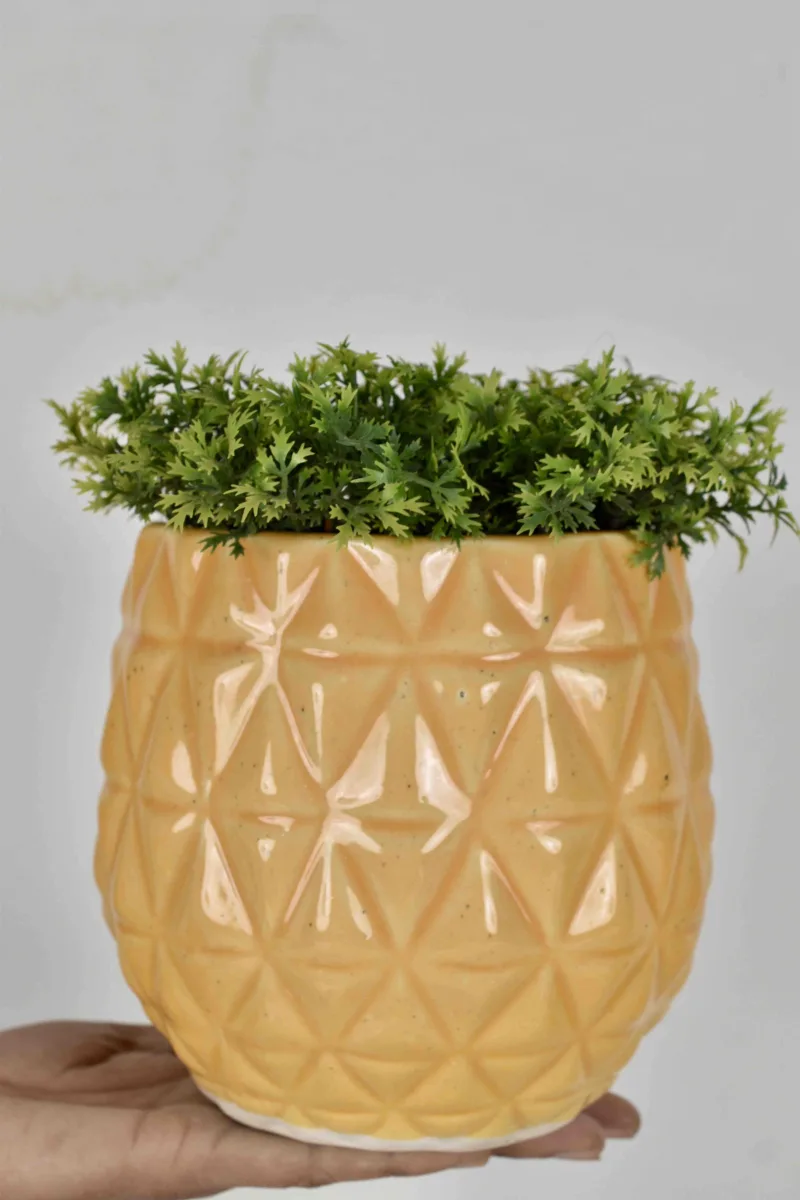 Classic Ceramic Planter — 5" Dia × 7" Height — Primary View