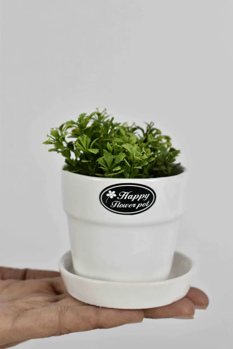 Classic Ceramic Planter — 4.5" Dia × 0.5" Height — Primary View
