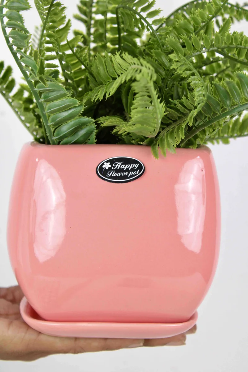 Classic Ceramic Planter — 6.5" Dia × 6" Height — Primary View