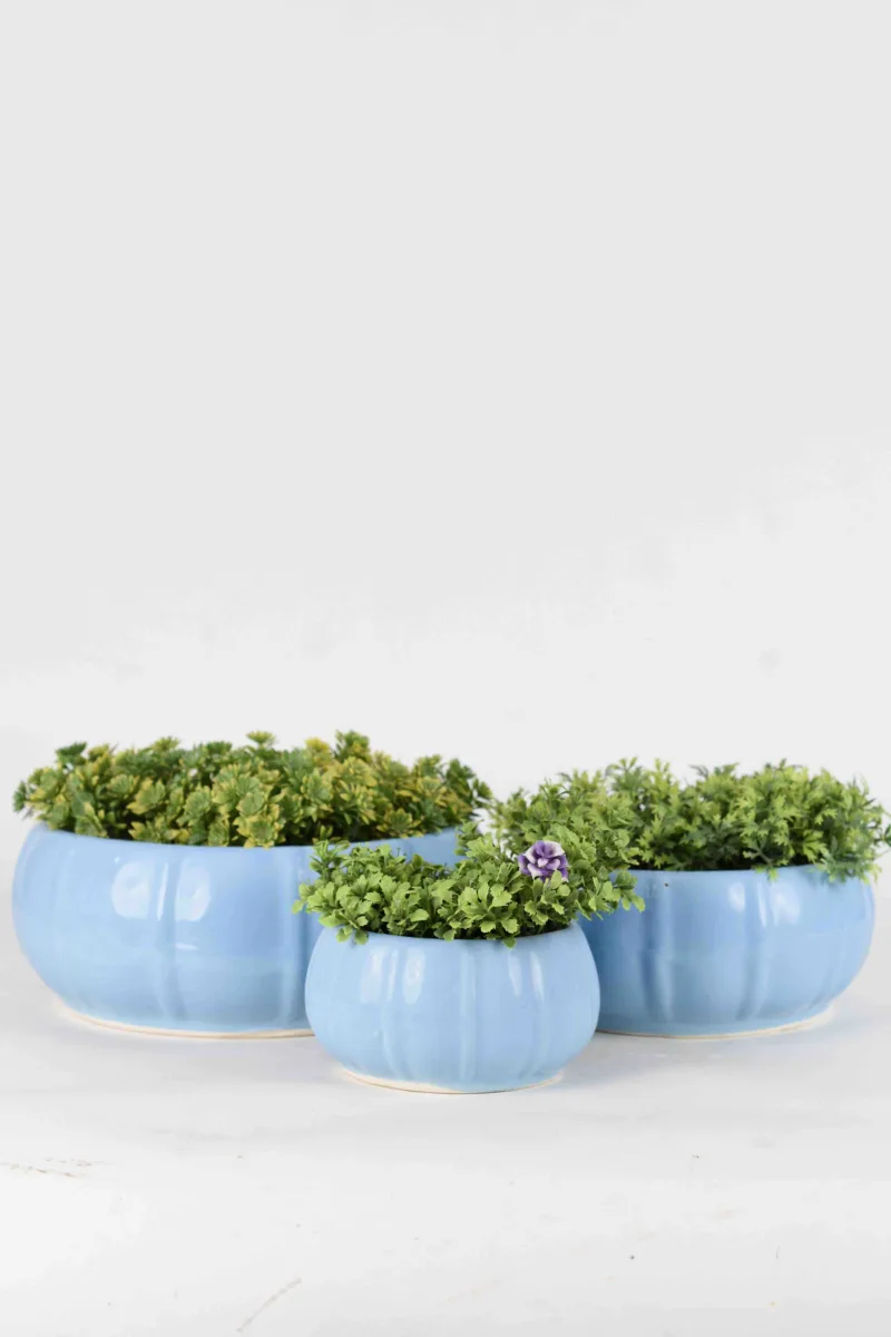 Classic Ceramic Planter — 5" Dia × 5" Height — Primary View