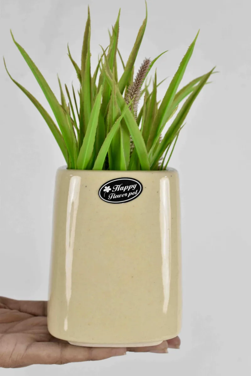 Classic Ceramic Planter — 5.5" Dia × 5" Height — Primary View