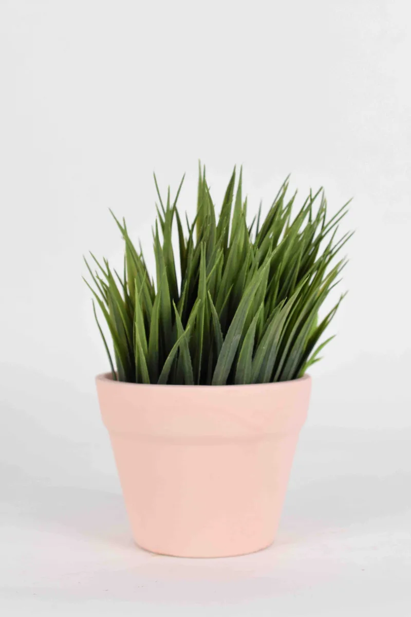 Classic Ceramic Planter — 8" Dia × 7" Height — Primary View