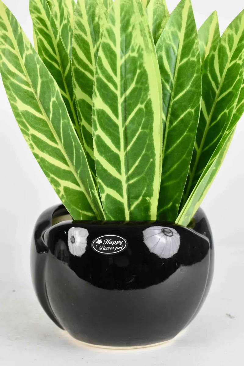 Classic Ceramic Planter — 5" Dia × 4" Height — Primary View