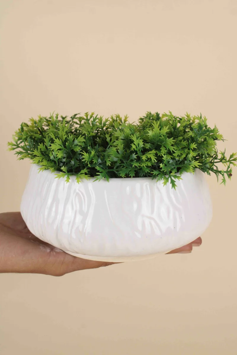 Classic Ceramic Planter — 6" Dia × 3" Height — Primary View