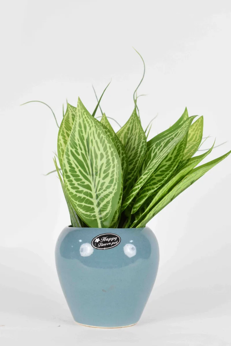 Classic Ceramic Planter — 4" Dia × 4" Height — Primary View