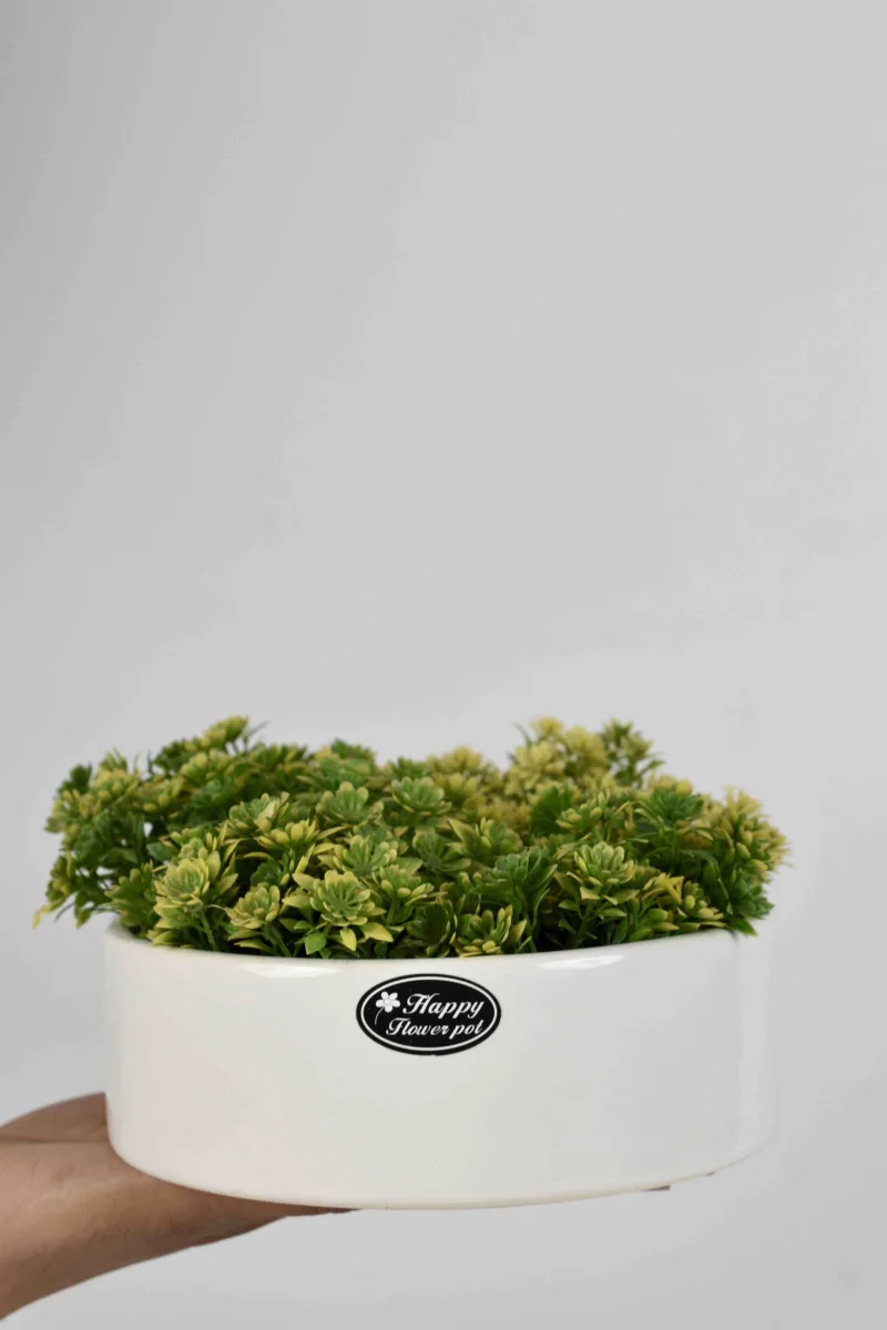 Classic Ceramic Planter — 15" Dia × 3" Height — Primary View