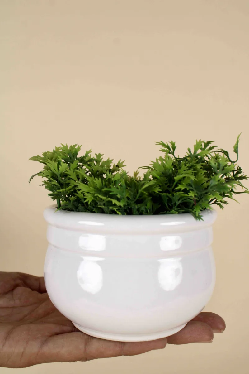 Classic Ceramic Planter Set of 3 (3" Dia) — Primary View