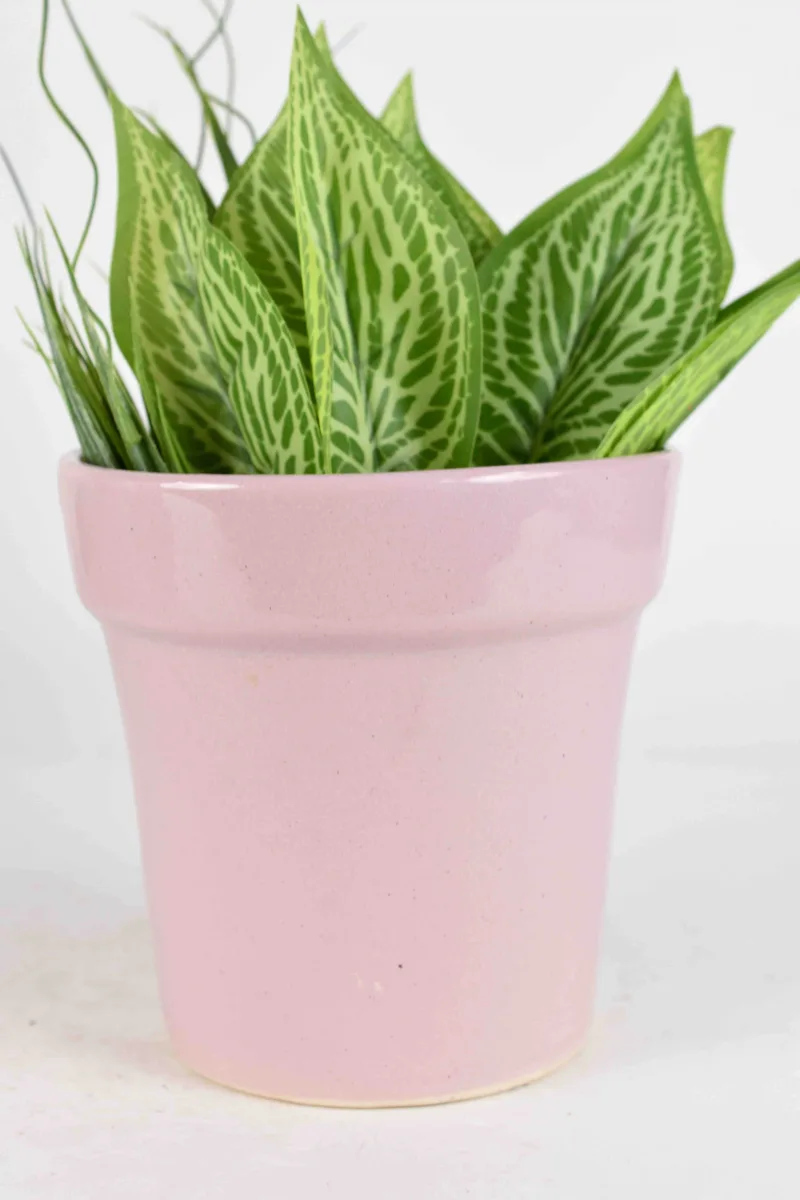 Classic Ceramic Planter — 6.5" Dia — Primary View