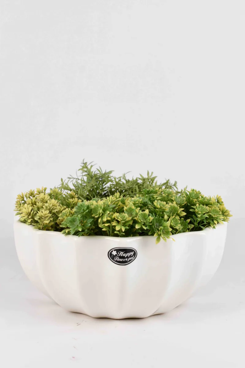 Classic Ceramic Planter — 8" Dia × 6" Height — Primary View