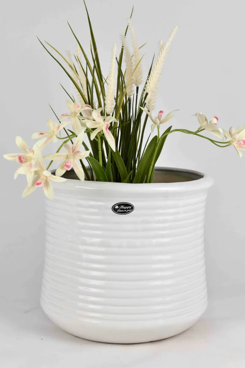 Classic Ceramic Planter — 5.5" Dia × 5" Height — Primary View