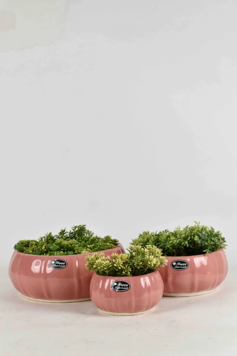Classic Ceramic Planter — 3.5" Dia × 3.5" Height — Primary View