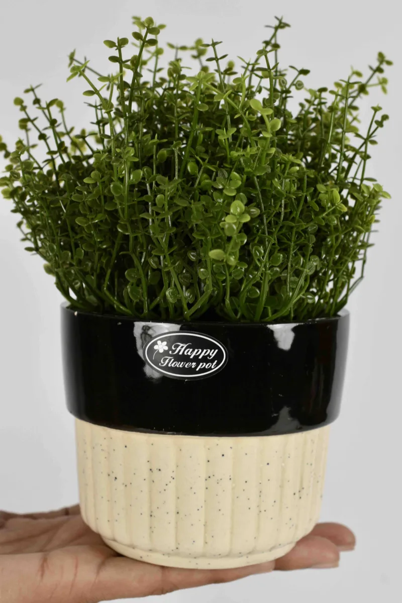 Classic Ceramic Planter — 5.5" Dia × 5.5" Height — Primary View