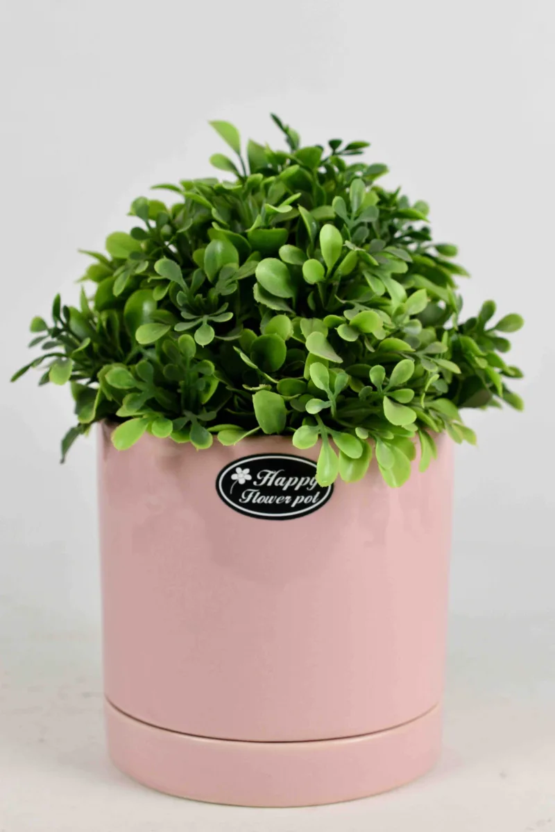 Classic Ceramic Planter — 5" Dia × 5" Height — Primary View