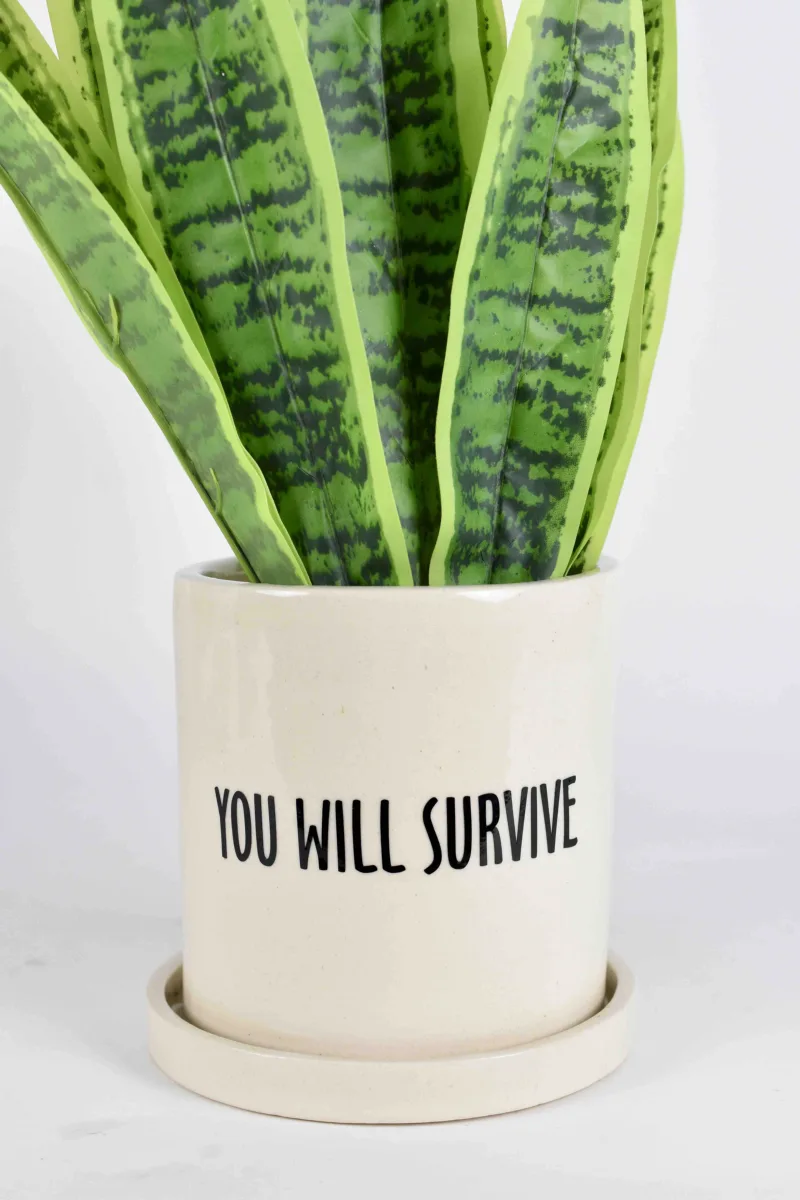 Classic Ceramic Planter — 4.5" Dia × 5" Height — Primary View