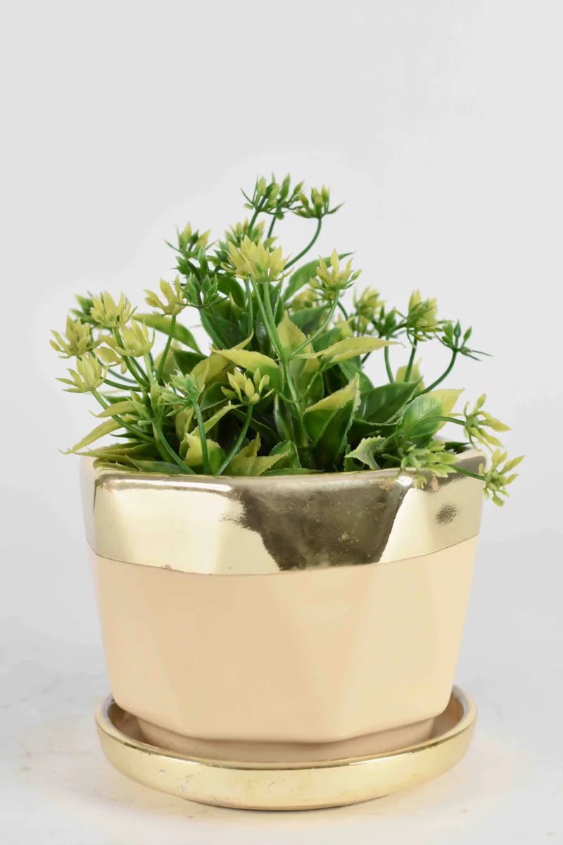 Classic Ceramic Planter — 7" Dia × 7.5" Height — Primary View