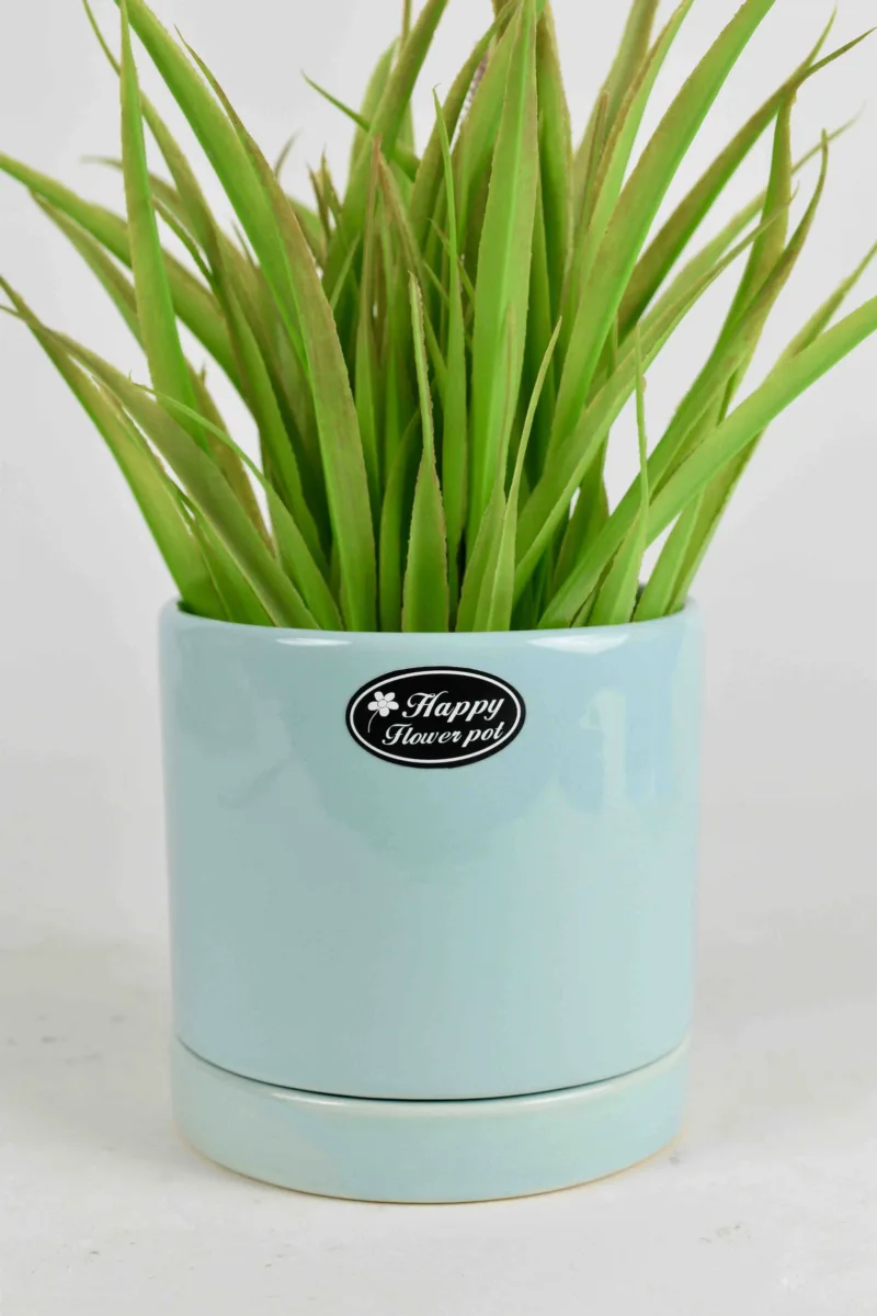 Classic Ceramic Planter — 4.5" Dia × 4" Height — Primary View