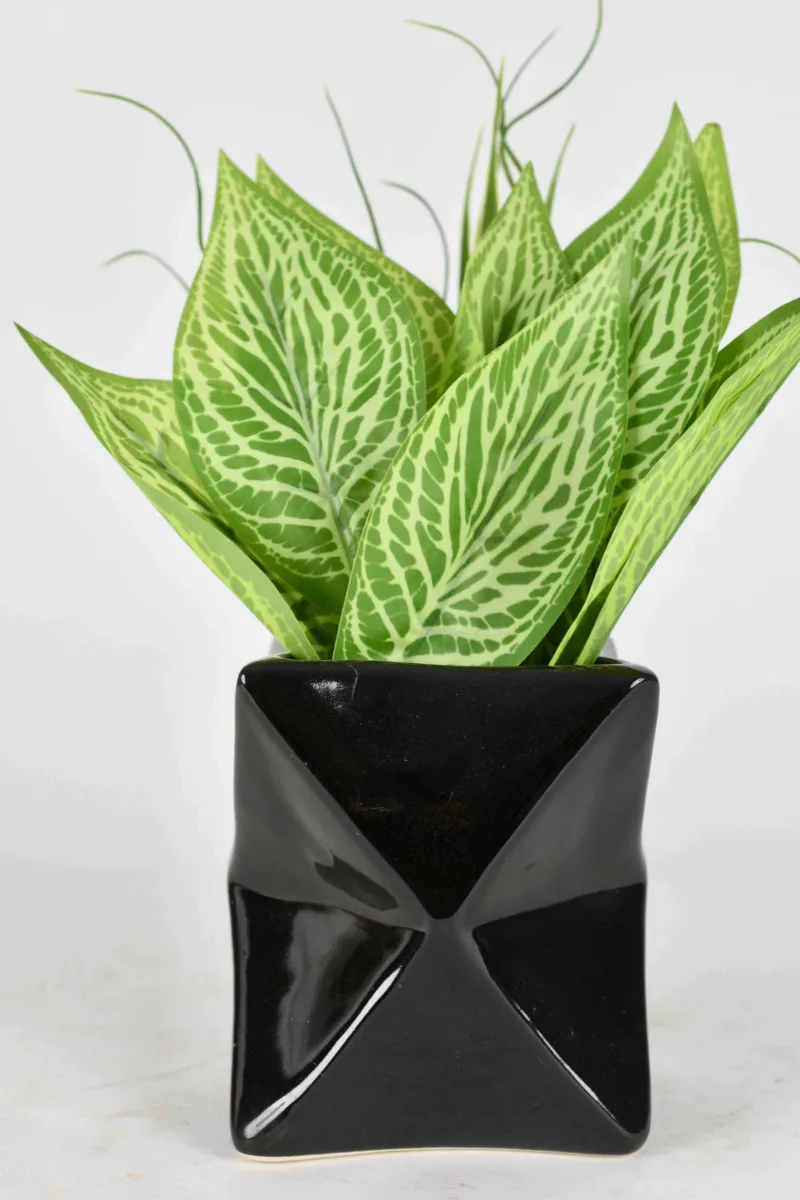 Classic Ceramic Planter — 3.5" Dia × 3.5" Height — Primary View