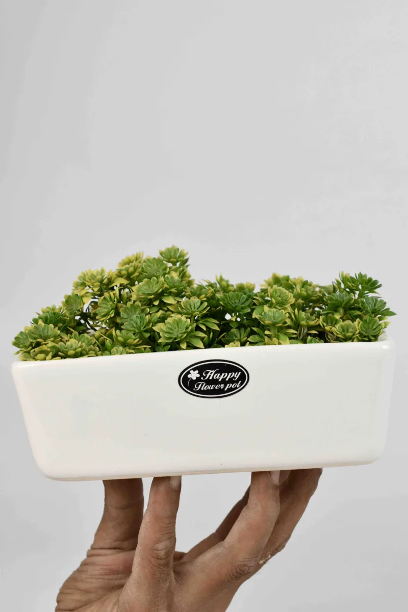 Classic Ceramic Planter — 5" Dia × 4.5" Height — Primary View