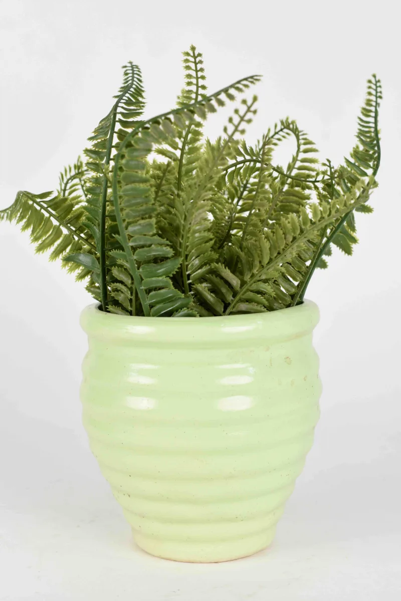 Classic Ceramic Planter — 5.5" Dia × 5" Height — Primary View