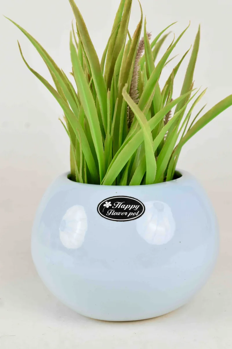 Classic Ceramic Planter — 4" Dia × 3.5" Height — Primary View