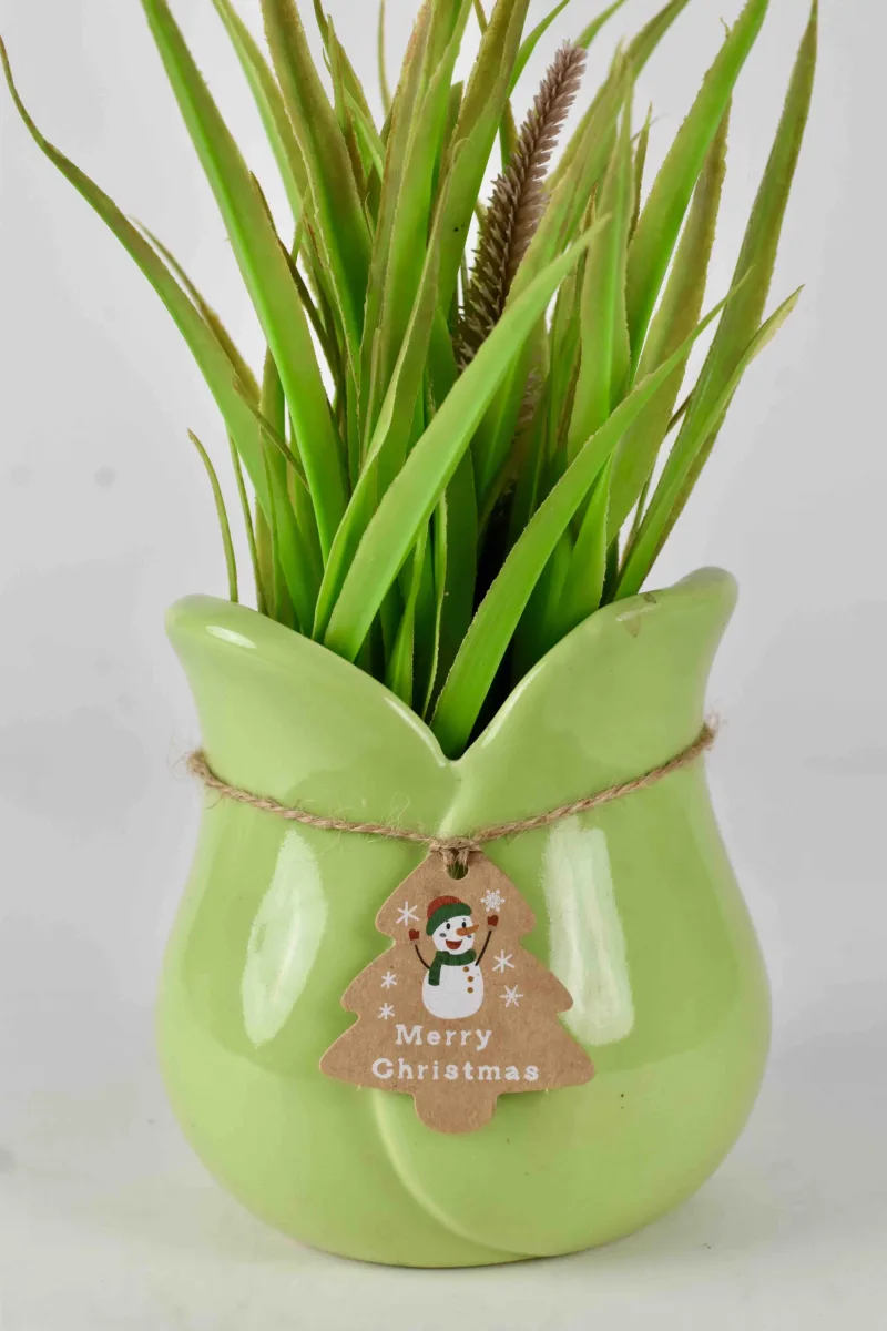 Classic Ceramic Planter — 5.5" Dia × 5" Height — Primary View