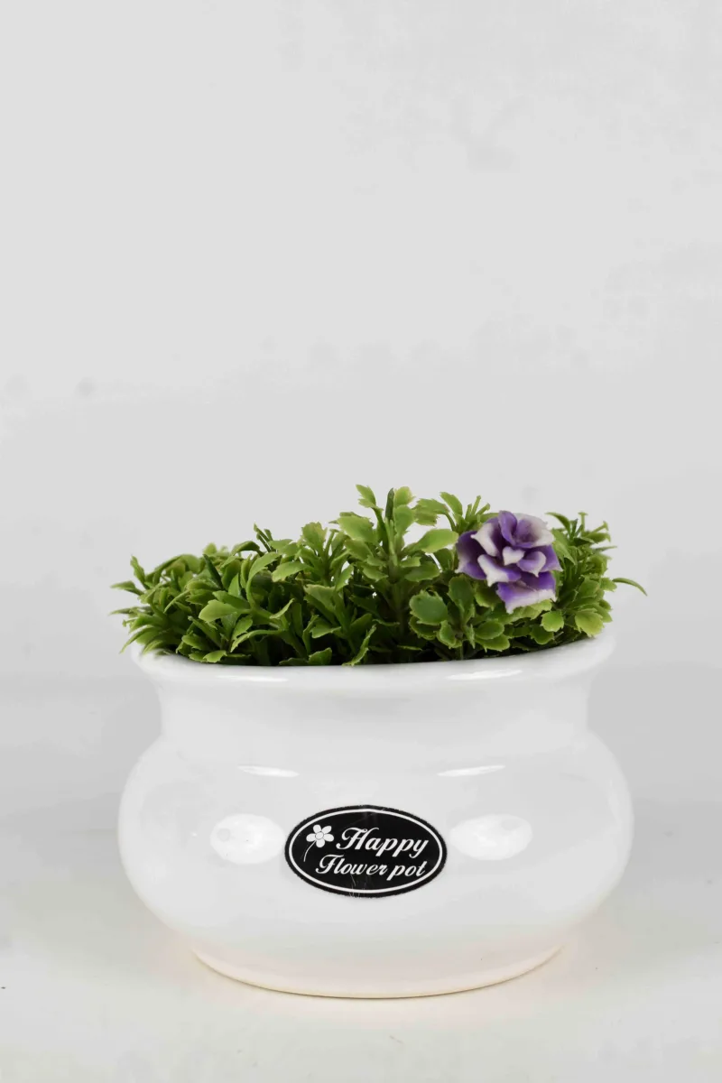 Classic Ceramic Planter — 5.5" Dia × 5.5" Height — Primary View