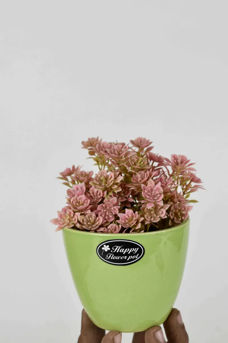 Classic Ceramic Planter — 7" Dia × 7" Height — Primary View