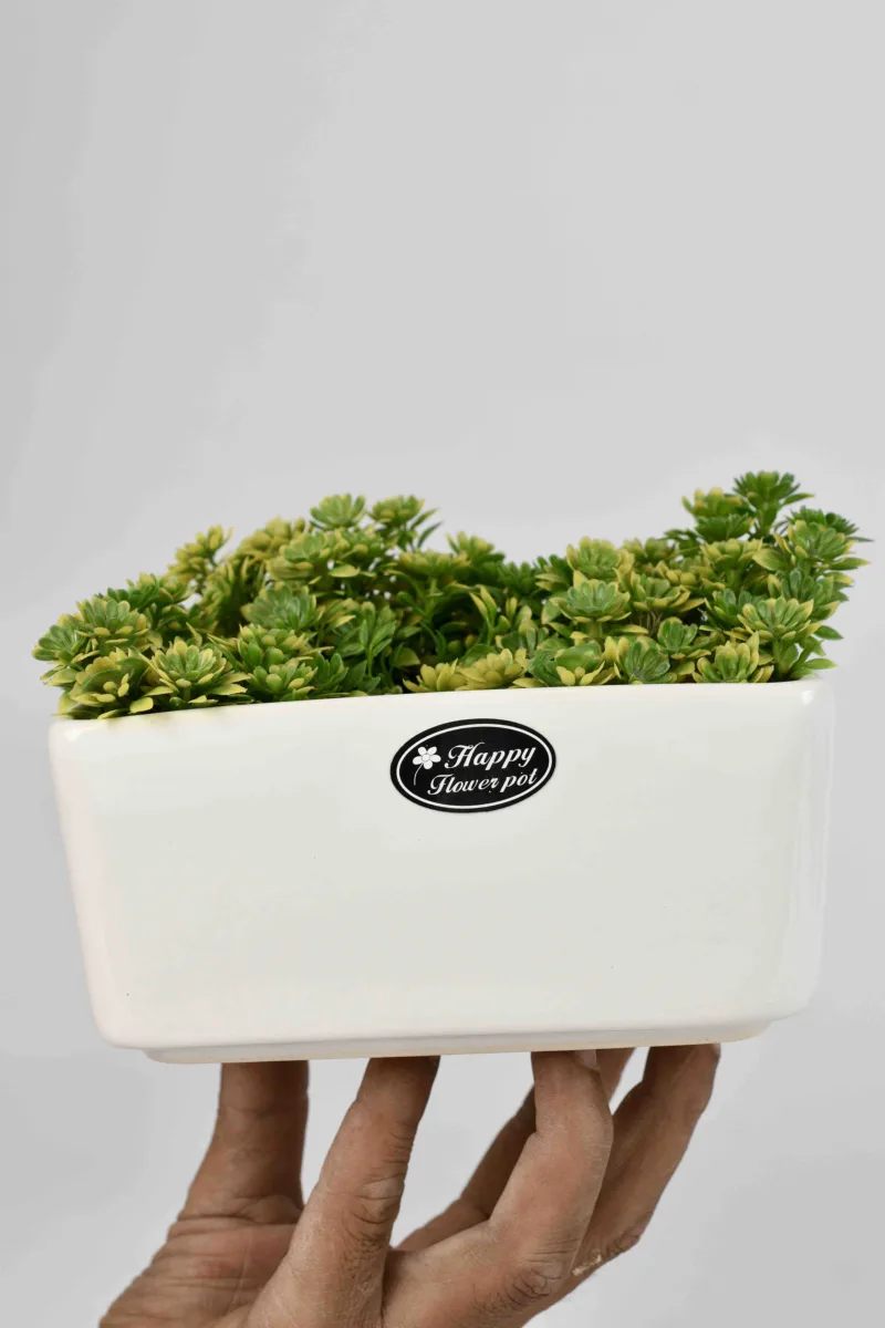 Classic Ceramic Planter — 5.5" Dia × 5.5" Height — Primary View
