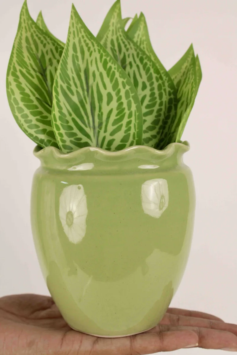 Classic Ceramic Planter — 5" Dia × 4.5" Height — Primary View
